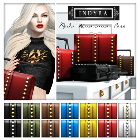 {Indyra} Accessory poster Moda cases fall 2014